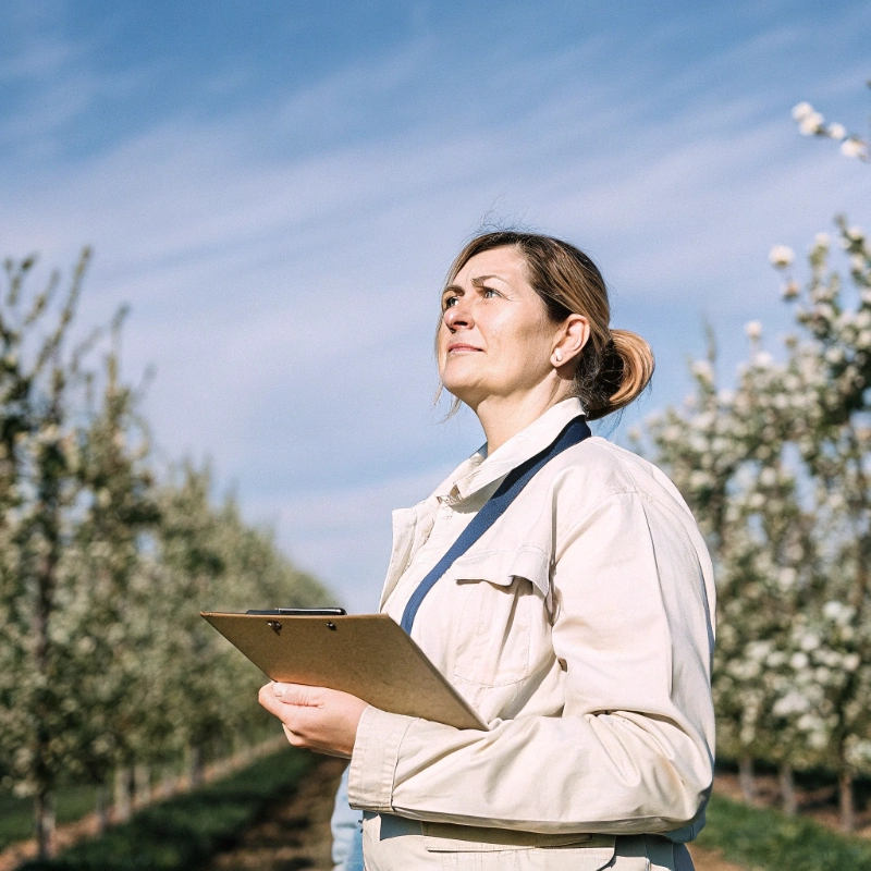 Irene Karpus standing in apple orchard holding clipboard